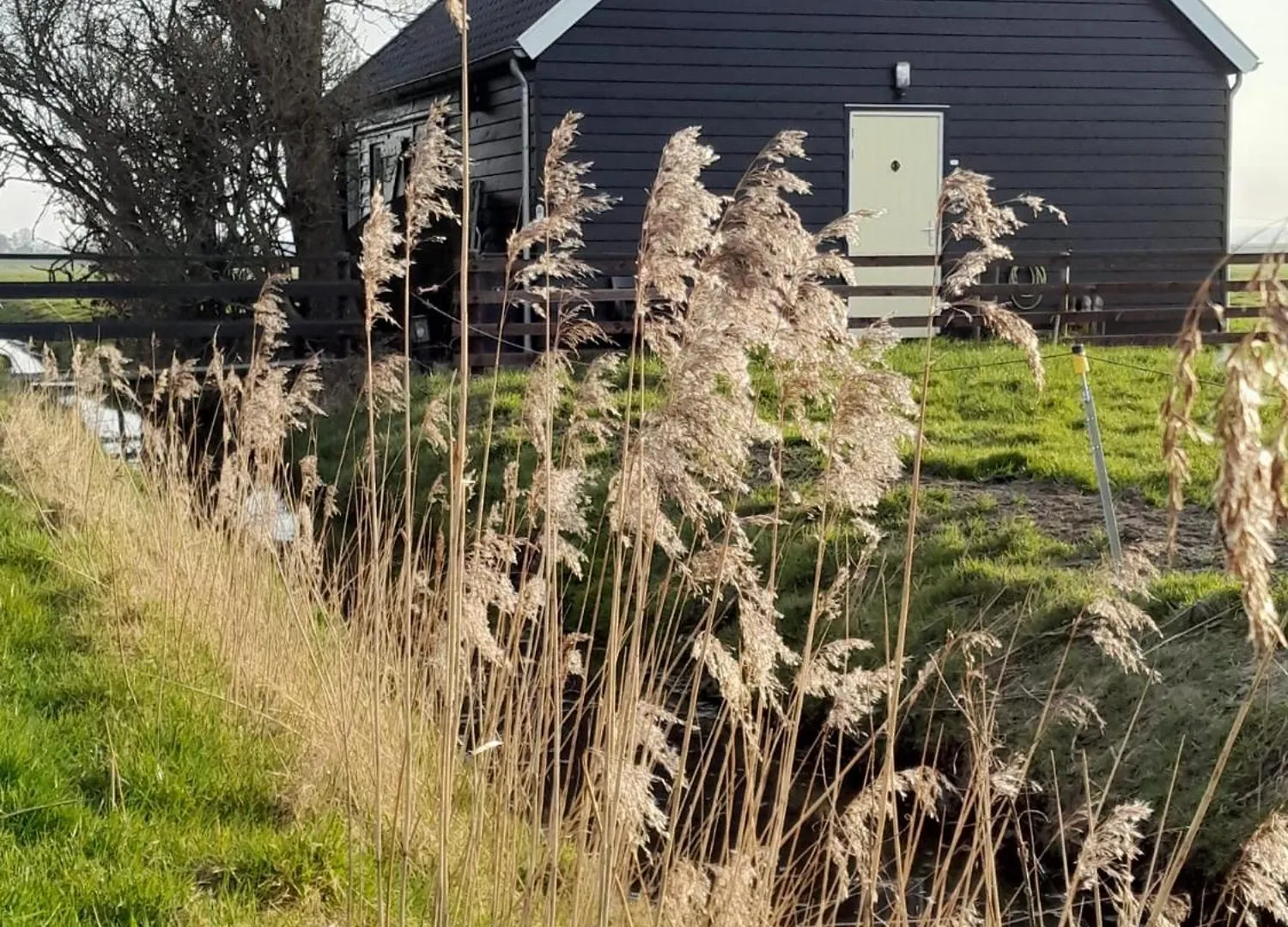 City Farmers Lodge, A Guesthouse With A Skyline View In Rural Amsterdam Holiday home