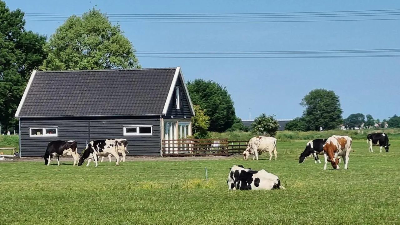 Holiday home City Farmers Lodge, A Guesthouse With A Skyline View In Rural Amsterdam