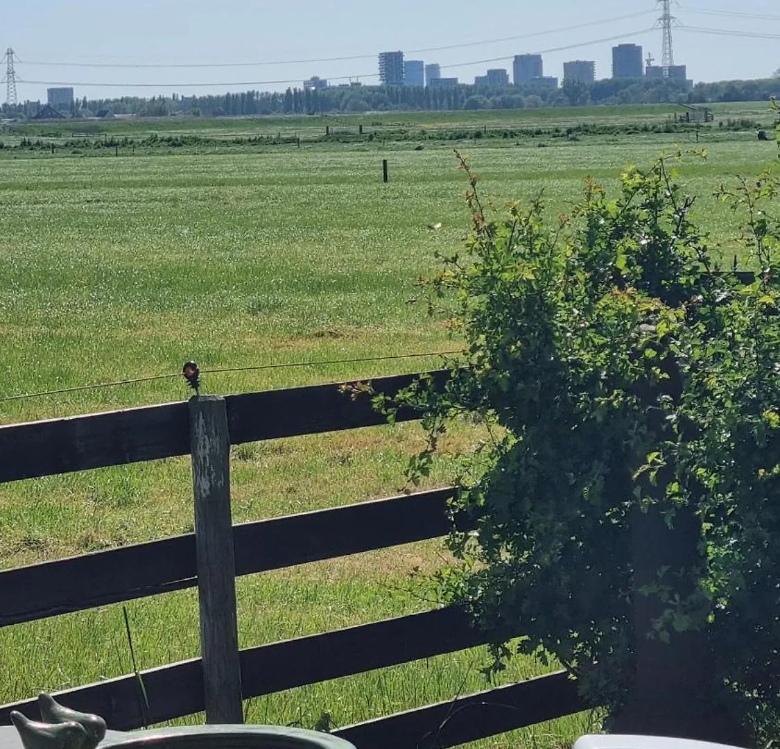 City Farmers Lodge, A Guesthouse With A Skyline View In Rural Amsterdam Netherlands